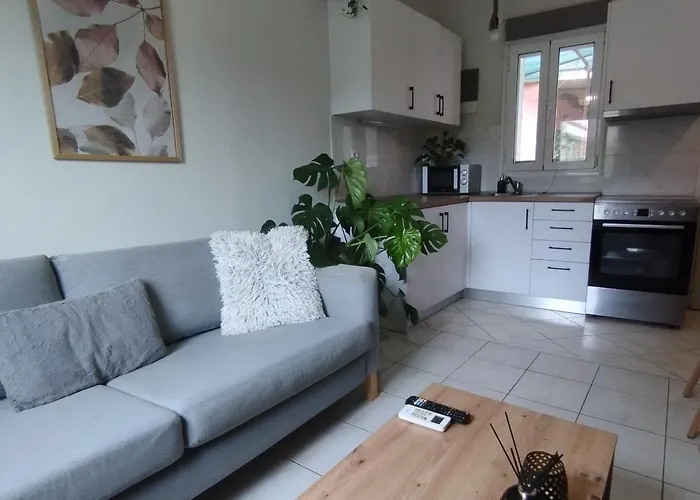 Cozy House